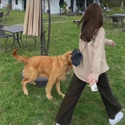 妈呀,你醒了